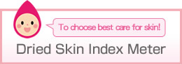 Dried Skin Index Meter